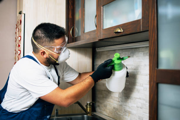 Best Exterminator Services  in Monette, AR