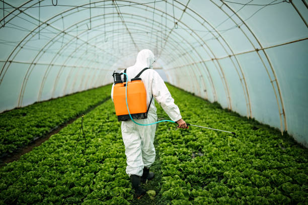 Best Affordable Pest Control Services  in Monette, AR
