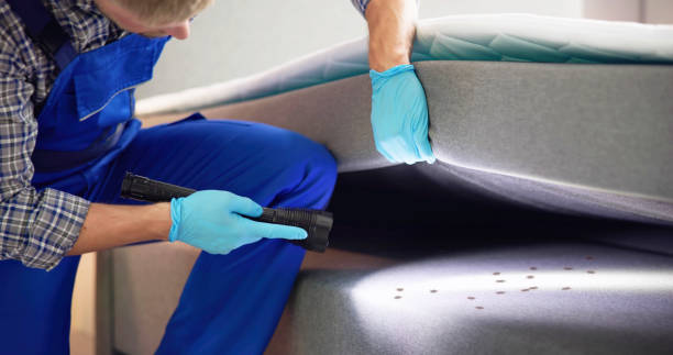 Best Mosquito Control Services  in Monette, AR